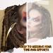 12 Pieces Interlocking Tool Dreadlocks Kit - Easyloc Hair Sisterlock Crochet Tool (Gold) - Buy Online on GoSupps.com
