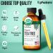UpNature Organic Tea Tree Oil - 100% Pure Essential Oil for Skin Hair & Toenails - 2oz (Pack of 1) - International Shipping Available - Buy Online on GoSupps.com