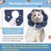 ComSaf Protective Cat Collar - Adjustable Starry Sky Hinges for Post-Surgery Recovery | Prevent Licking & Soothing Comfort | XS Size - Buy Online on GoSupps.com