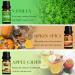 SALKING Autumn Fragrance Oils Gift Set - Essential Oils for Fall Soaps, Candles - Cinnamon, Pumpkin Spice, Apple Cider, Vanilla, Forest Pine, Snickerdoodle - Buy Online on GoSupps.com