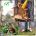 LgowithU Squirrel Feeder Wood Squirrel Feeders for Outside Winter Durable Box Easy to Fill with Removable Front Panel for Corn Peanuts Nuts - Buy Online on GoSupps.com
