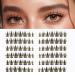 Lankiz manga cluster eyelashes brown individual eyelashes DIY eyelash extensions fake lashes natural eyelash clusters individual lashes manga-style-04 brown