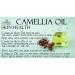 100% Pure Japanese Camellia Seed Oil - 8 oz | Cold Pressed, Unrefined, Non-GMO | Hydrating Oil for Skin, Hair, Nails | Vegan & Nourishing | Packaging May Vary - Buy Online on GoSupps.com
