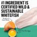 Beyond Grain Free Natural Dry Cat Food Wild-Caught Whitefish & Free Run Egg - 5 kg Bag 5 kg (Pack of 1) - Buy Online on GoSupps.com