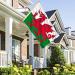 Shachi Great Wales Flag - Welsh Dragon 3ft x 2ft | Polyester Tissue with Brass s for FIFA World Cup Football Rugby & Sports - Buy Online on GoSupps.com