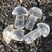 Natural Crystal Rough 40-50mm Crystal Mushroom Natural Clear Quartz Mushrooms Lovely Rose Crystal Stone Agaric Home Decoration Can be Used for Home Office Decoration 1pc - Buy Online on GoSupps.com