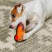Outward Hound Invincibles Mini Dog Plush Dog Toy XS XS Dog - Buy Online on GoSupps.com