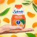 SPLENDA Liquid Water Enhancer Drops Orange Tangerine Flavor Sugar Free Concentrated Drink Mix 92mL Bottle (Pack of 2) Orange Tangerine 92 ml (Pack of 2) - Buy Online on GoSupps.com