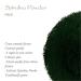Buy Organic Spirulina Powder - Premium Algae Supplement 200g (1 Pack) - Boost Energy & Wellness - Buy Online on GoSupps.com