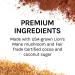 Host Defense MycoBrew Cocoa Drink Mix - 10.5oz, Supports Calm and Relaxation with Lions Mane Mushroom - 1 Count Pack - Buy Online on GoSupps.com