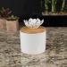 ScentSationals Ceramic Flower Essential Oil Diffuser - Passive Wicking Home Fragrance for Living Room & Bedroom - Aromatherapy Diffuser for Essential Oils - Lyle - International Shipping - Buy Online on GoSupps.com