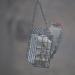 C&S No Melt Suet Dough Delights for Wild Birds - 12 Pack | Premium Bird Feeder Treats - Buy Online on GoSupps.com