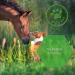 Lolo & Max Lebermoos Skin Care Spray for Itching Dogs & Horses Soothing Liver Moss Solution for Itchy Pets - Buy Online on GoSupps.com