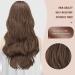 Feshfen Long Wavy Brown Lace Front Wig - 65cm Synthetic Hair for Women | Natural Wavy Middle Parting - Buy Online on GoSupps.com