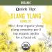 Buy Aura Cacia Organic Ylang Ylang Complete Essential Oil - 0.25 fl. oz. | Premium Quality Free International Shipping - Buy Online on GoSupps.com