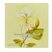 Corlys 6 Oz. Dusting Powder with Puff - Talcum Powder for Soft and Scented Skin - Buy Online on GoSupps.com
