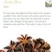 Organic Anise Star Seed Tea - Illicium Verum Herbal Infusion 200g - Buy Online on GoSupps.com