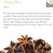 Anis toil Graine Tisane - Id al En Cuisine - Badiane Riche Sucr e - Qualit Premium - Origine Chine - Badiane Chinoise Ou Illicium Verum - Anise Star Graines Anis De toile Anise Etoile - Buy Online on GoSupps.com