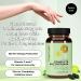 Future Kind Vegan Multivitamins Complete (90tabs) - 42-in-1 Formula for Women & Men with Enzymes, Probiotics, B12 & Zinc - Buy Online on GoSupps.com