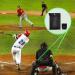 3-Piece Umpire Gear Set: 2 Umpire Brushes & Ball Bag - Black | Baseball Softball Referee Equipment - Buy Online on GoSupps.com