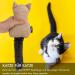 Favpet Plush Cat Toys with Bells - Cuddly Pillows for Cats | Soft Plush Cat Toys & Kitten Toys (Beige) - International Shipping - Buy Online on GoSupps.com