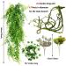 Buy Hanging Plant Terrarium Accessories | Quozio Gecko Habitat Deco | Artificial Plants & Climbing Vines for Chameleons Lizards & Snakes - International Shipping Available - Buy Online on GoSupps.com