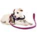 Buy IDC Color & Gray Rubberized Leash 20mm x 1m - Durable Pink-Gray Dog Leash for International Shipping - Buy Online on GoSupps.com