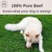 Bounce and Bella Natural Dog Chews 100% Pure Beef Air-Dried Treats Just One Ingredient 100g Beef 100 g (Pack of 1) - Buy Online on GoSupps.com