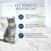 Blue Buffalo Indoor Health Natural Adult Dry Cat Food Salmon And Brown Rice 3.1kg bag - Medium Bag kibble Medium Bag Salmon - Buy Online on GoSupps.com
