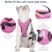 WD&CD Cat Harness and Leash Set Escape Proof Cat Harness Adjustable Soft Cat Walking Jackets with Retractable Cat Leash For Pet Puppy Pink Medium Medium Pink - Buy Online on GoSupps.com