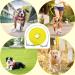 Waterproof Chew-Proof Dog Drag Line - 10m Yellow Training Leash for All Dog Sizes - Buy Online on GoSupps.com