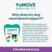 Lintbells YuMOVE Dental Care | Dental Sticks for Medium Dogs Tasty Chews with Natural Ingredients which Target Plaque & Freshen Breath White | 14 Pack | - Buy Online on GoSupps.com