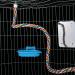 Bird Perch Rope Toy for Parrot/Parakeet/Cockatiel - Comfy Colorful 41.3 Inch Bungee with Metal Nuts - Buy Online on GoSupps.com