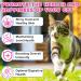 Collagen for Cats -with Biotin Msm & Collagen-Shiny Coat and Healthy Skin-Maintaining Joint Health-Optimal Digestive Health-Boosting Overall Immunity-Salmon Flavor-2 fl oz - Buy Online on GoSupps.com
