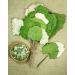 Coltsfoot Leaf Tea | Feuille De Tussilage Tisane | Tussilago Farfara Health Embassy (100g) - Buy Online on GoSupps.com