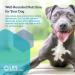 Life Extension Dog Mix 3.52 oz - Premium Nutrition for Dogs - Buy Online on GoSupps.com