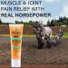 Absorbine Veterinary Liniment Gel - Menthol Pain Relief for Sore Muscles, Joints & Arthritis - Buy Online on GoSupps.com