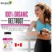 Renew Actives Organic Beetroot Supplement 1300mg - Pure Beetroot Powder for Circulation Natural Energy & Antioxidant Benefits - High-Potency Superfood Made in Canada - 90 Veggie Capsules (2pk) 90 Count (Pack of 2) - Buy Online on GoSupps.com