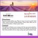 Lavender Neti Inhaler for Sinus & Lung Relief | Himalayan Salt Air & Aromatherapy | Portable Respiratory Wellness - Buy Online on GoSupps.com
