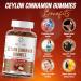 Energizen Cinnamon + Chromium Gummies - 120 Vegan Gummies - Joint Pain & Brain Health Support Sugar-Free Antioxidant Rich Non-GMO Gluten-Free Supplement Natural Apple Flavor - Buy Online on GoSupps.com