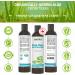 Aloe Vera Topical Gel Sunburn Relief - Soothing Moisturizer After Sun - for Face Body Hair - Made from 100% Pure Organic Cold Pressed Aloe Vera Gel For Face - with Vitamin C - Made in Canada (240 g (Pack of 2) - Buy Online on GoSupps.com