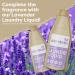 Eco-Mate - Lavender Concentrated Fabric Conditioner - 500ml (Pack of 3) - Eco Friendly - 100% Plant-Based Biodegradable Fabric Softener - Natural Ingredients - Fresh & Calming Fragrance - Buy Online on GoSupps.com