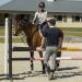 Equinavia Erik Men's Silicone Knee Patch Breeches | Steel Grey | US 32 (EU 48) - Buy Online on GoSupps.com