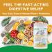 Active Green Pro - Fibre Boost Prebiotic + Probiotic - Organic Powder - Enzyme & Vitamin Production - Supports Bowel Regularity - Weight Management - Digestive Health - Unflavoured - Gluten Free - Sugar Free - No Fillers - 320g/40 Servings - Easy to Mix - Buy Online on GoSupps.com