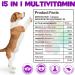 Dogs Vitamins and Supplements with Glucosamine & Cranberry 15 in 1 Multivitamins Supports Dogs Hip and Joint Immune Health Skin Coat Heart Health for Small Medium and Large Dogs - Buy Online on GoSupps.com