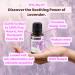 Buy Rocky Mountain Organic Lavender Essential Oil - 15ml | Aromatherapy for Diffuser & Home Use - Buy Online on GoSupps.com