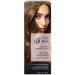 L'Oreal Paris Le Color One Step Toning Hair Gloss  Rich Brunette  4 Ounce Rich Brunette 4 Fl Oz (Pack of 1)