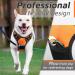 Adjustable No Pull Dog Harness - Padded Front Puppy Vest with Handle - Reflective Breathable Mesh for Outdoor Adventures - Comfort Control - Orange (1 Pack) - Buy Online on GoSupps.com
