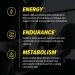 C4 Ripped Pre Workout Powder Tropical Punch 30 Servings | | Zero Sugar Pre Workout with 150mg Caffeine 500mg L Carnitine 1600mg Beta Alanine 200mg Green Coffee Bean Extract Tropical Punch 30 Servings (Pack of 1) - Buy Online on GoSupps.com
