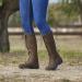 Dublin Admiral Boots 9 Chocolate - Premium Equestrian Footwear - Buy Online on GoSupps.com